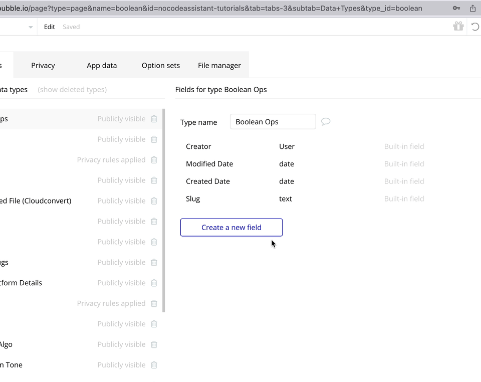 Working with Boolean fields in Bubble